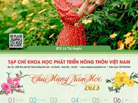 Đầu năm đôi nét lạm bàn về lịch và sử dụng lịch